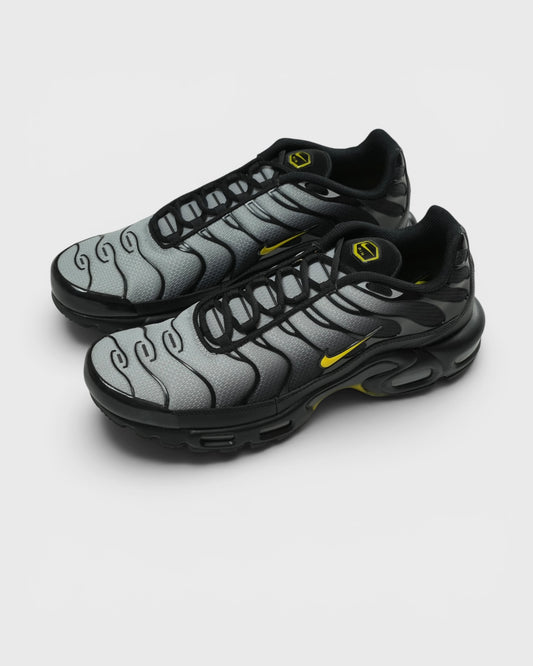 Кросівки Air Max Plus
