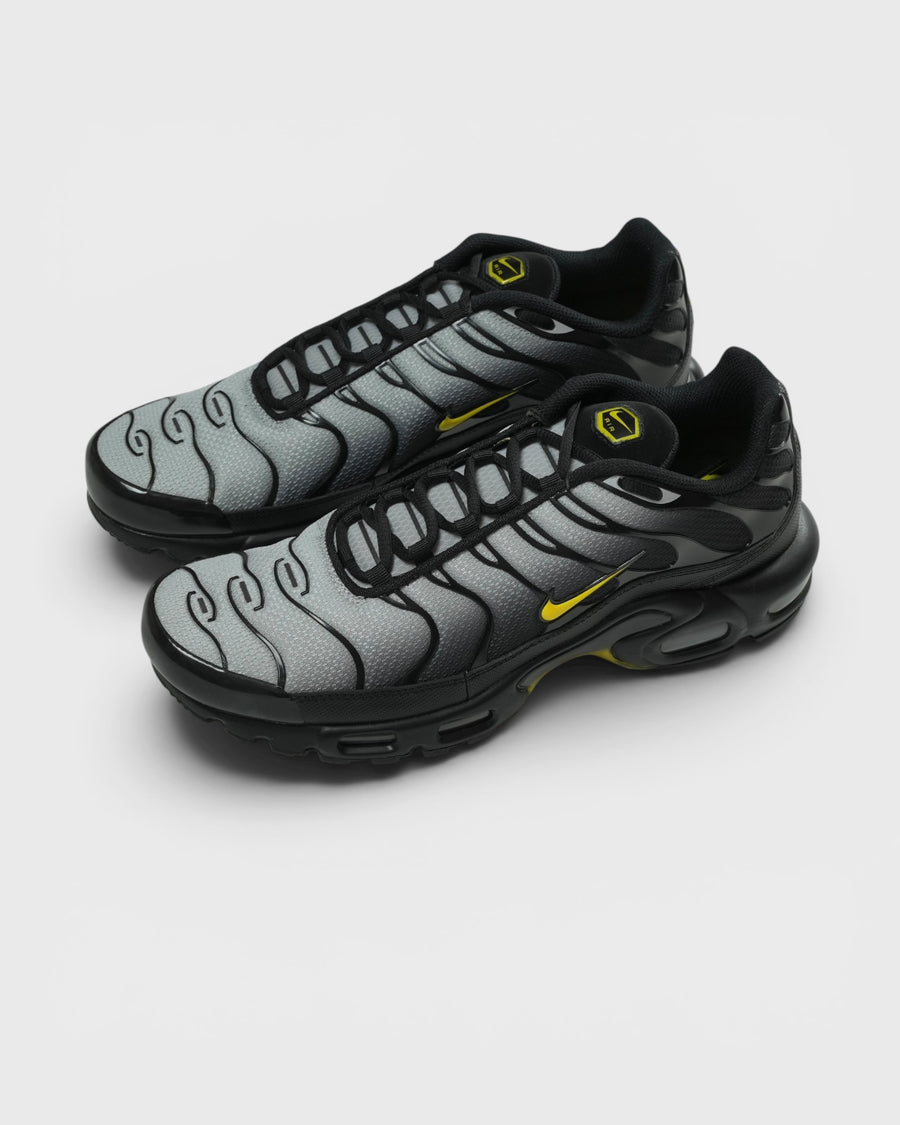 Кросівки Air Max Plus