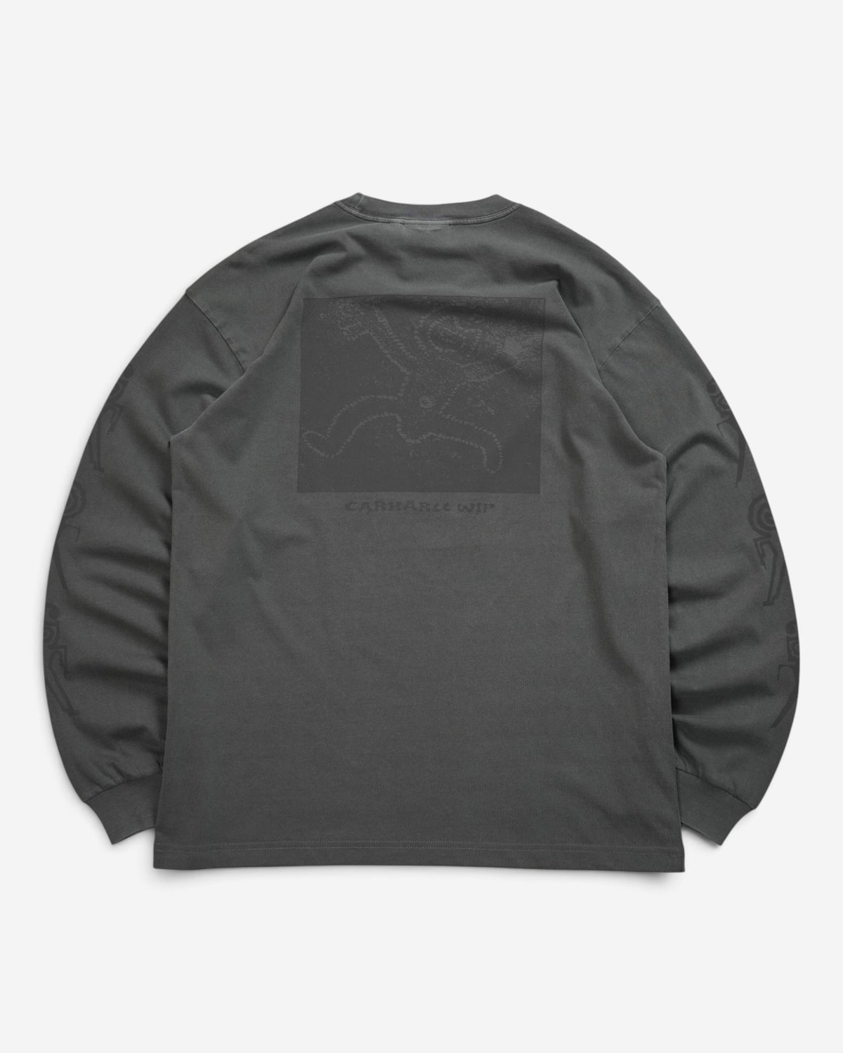 Чоловічий сіро-чорний лонгслів Carhartt WIP Terrestrial з ефектом виварювання та фірмовим принтом на спині та рукавах.
